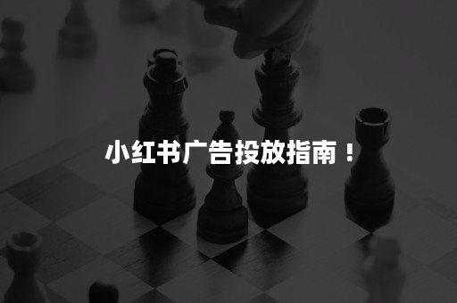 小红书广告投放指南 !