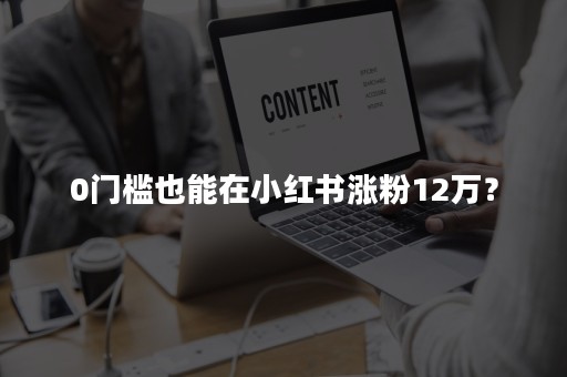 0门槛也能在小红书涨粉12万？