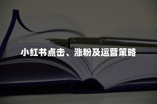 小红书点击、涨粉及运营策略