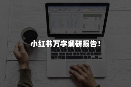 小红书万字调研报告！