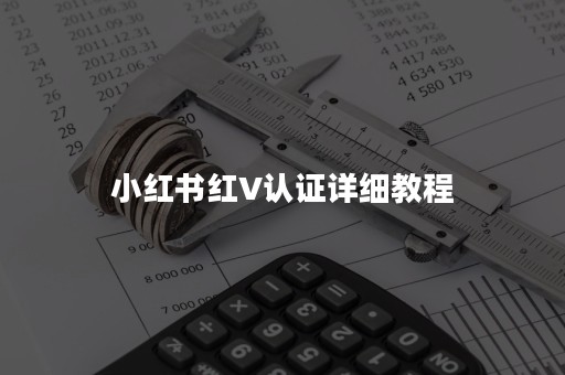 小红书红V认证详细教程