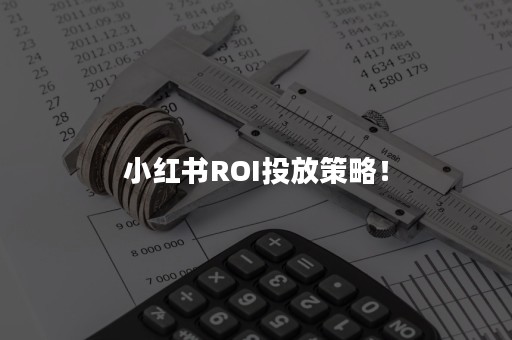 小红书ROI投放策略！