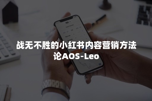 战无不胜的小红书内容营销方法论AOS-Leo