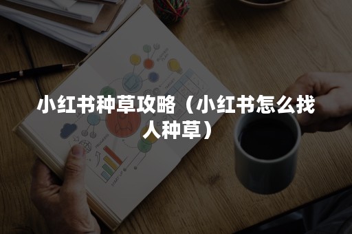 小红书种草攻略（小红书怎么找人种草）