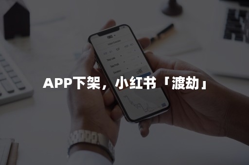 APP下架，小红书「渡劫」