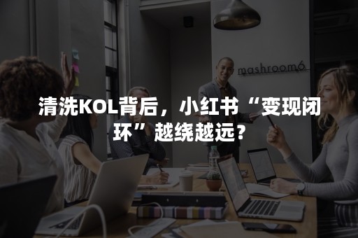 清洗KOL背后，小红书“变现闭环”越绕越远？