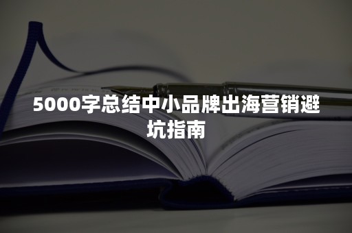 5000字总结中小品牌出海营销避坑指南