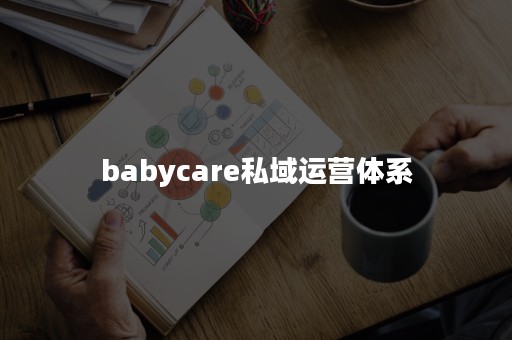 babycare私域运营体系