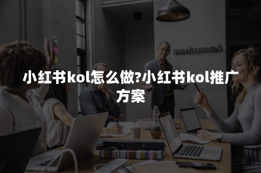 小红书kol怎么做?小红书kol推广方案