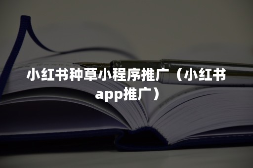 小红书种草小程序推广（小红书app推广）