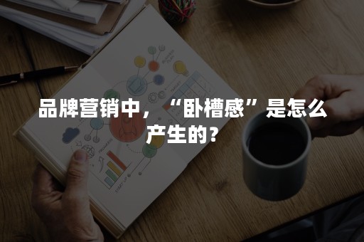 品牌营销中，“卧槽感”是怎么产生的？