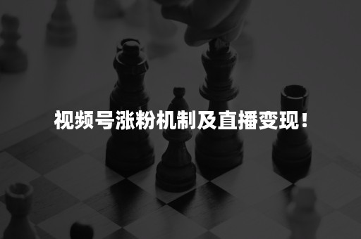 视频号涨粉机制及直播变现！