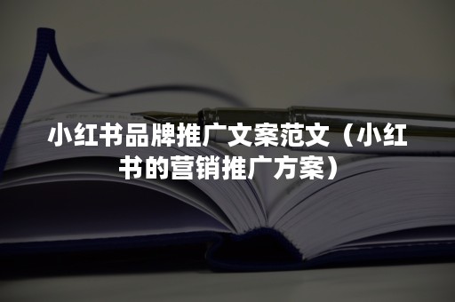 小红书品牌推广文案范文（小红书的营销推广方案）