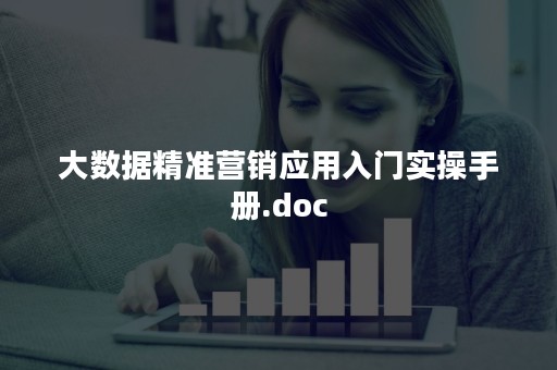 大数据精准营销应用入门实操手册.doc