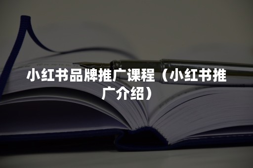 小红书品牌推广课程（小红书推广介绍）