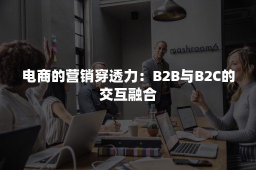 电商的营销穿透力：B2B与B2C的交互融合