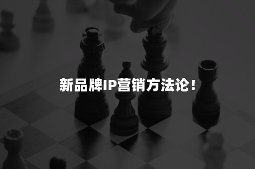 新品牌IP营销方法论！