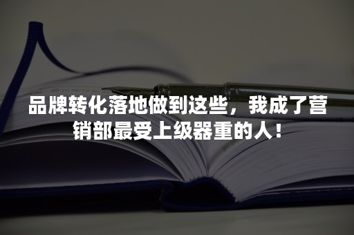 品牌转化落地做到这些，我成了营销部最受上级器重的人！