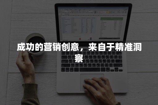 成功的营销创意，来自于精准洞察
