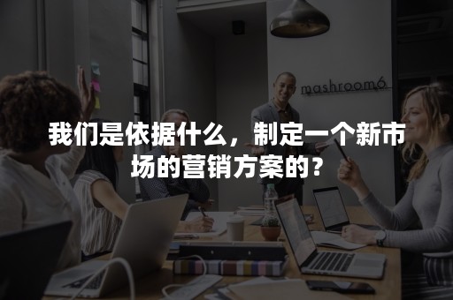 我们是依据什么，制定一个新市场的营销方案的？