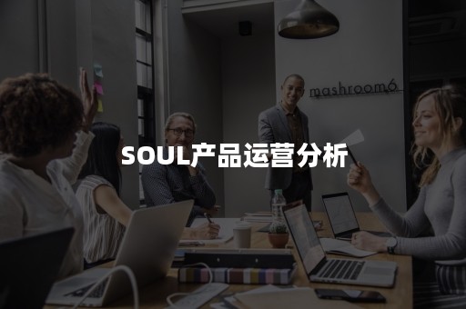 SOUL产品运营分析