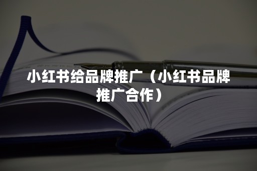 小红书给品牌推广（小红书品牌推广合作）