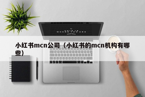 小红书mcn公司（小红书的mcn机构有哪些）