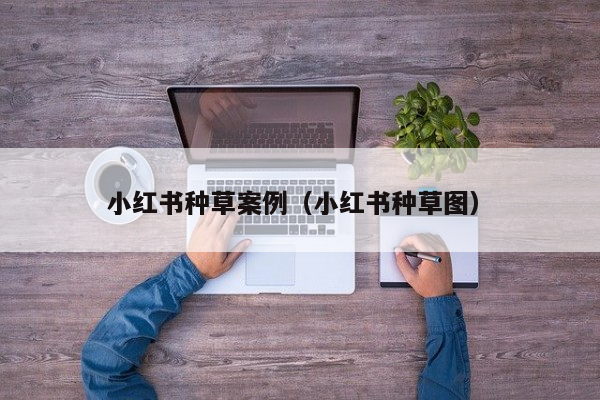 小红书种草案例（小红书种草案例分析）