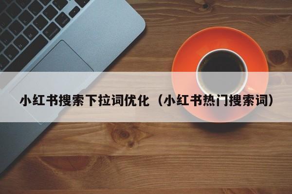 小红书搜索下拉词优化（小红书热门搜索词）